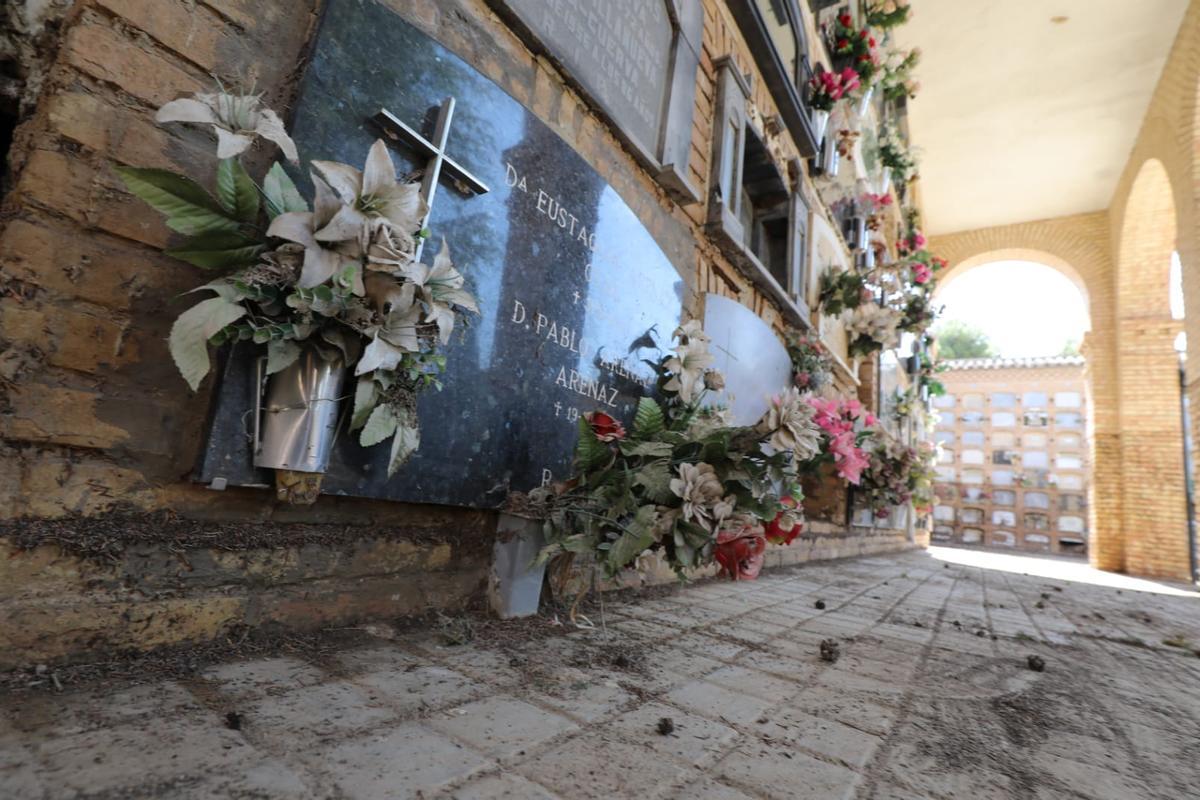 Fotogalería | Grandes daños en el cementerio de Torrero por la tormenta del jueves