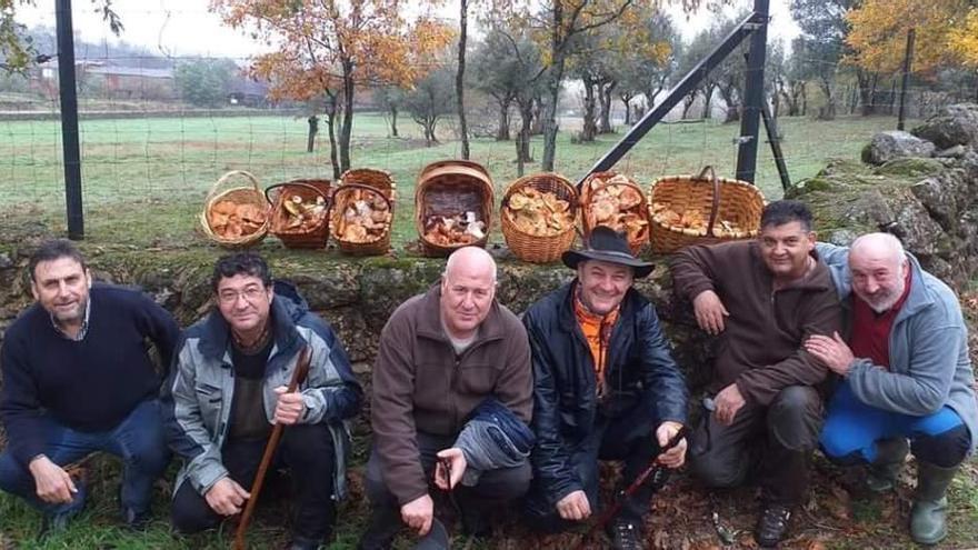 Pasión por la micología en Coria