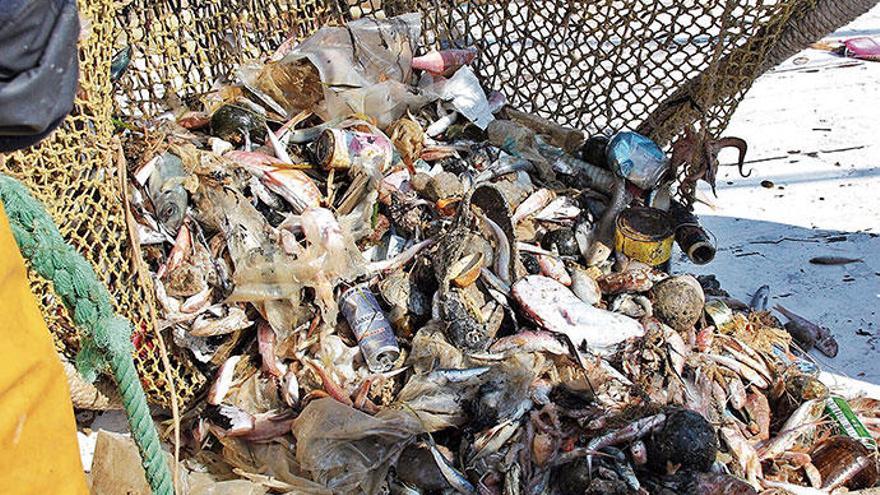 Müll und Unrat mischen sich täglich zwischen den Fang der Schleppnetzfischer auf den Balearen