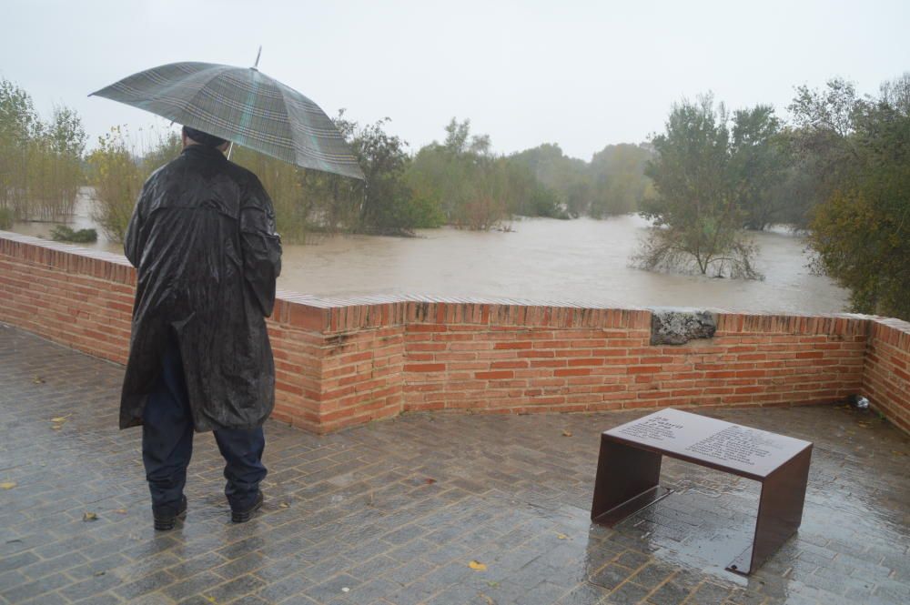 Imatges del temporal del diumenge 18 de novembre