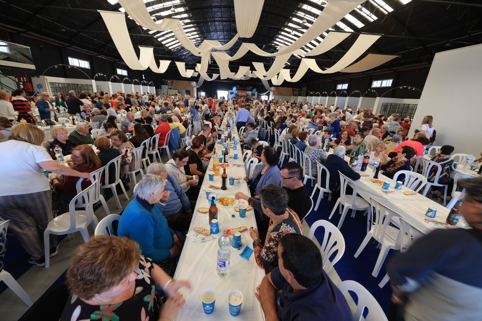 FOTOGALERÍA I Las imágenes de la sexta jornada (miércoles) de las fiestas patronales de Sant Pasqual en Vila-real