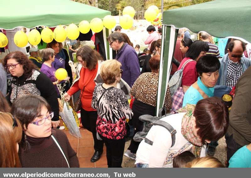 GALERIA FOTOS -- Masiva Festa per la Llengua