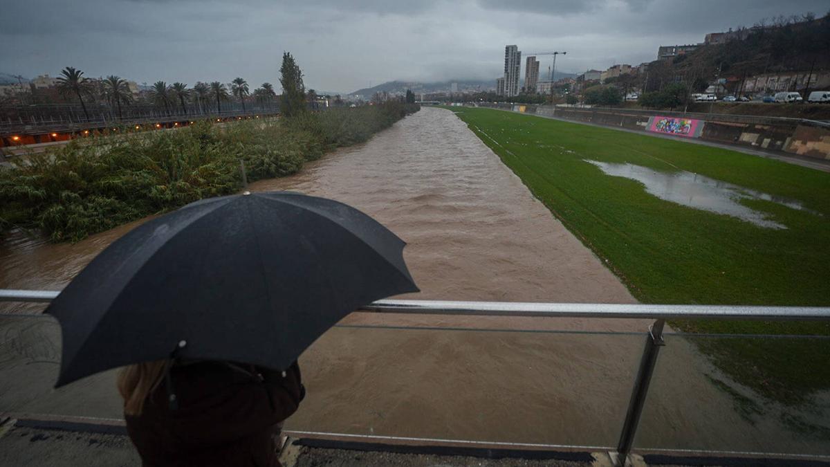 El parque fluvial del Besòs, casi desbordado, el pasado 20 de diciembre, día de intensas lluvias.