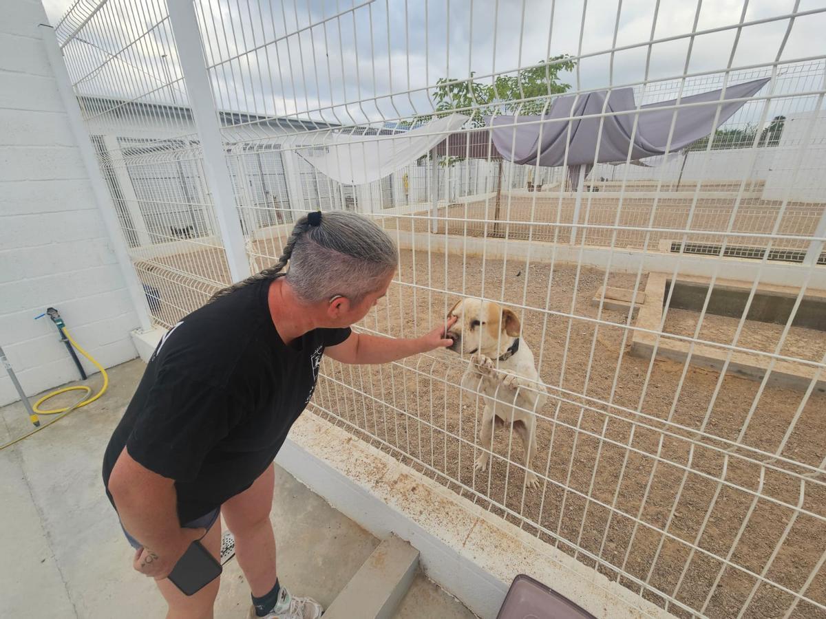 La coordinadora del centro saluda a uno de los perros.
