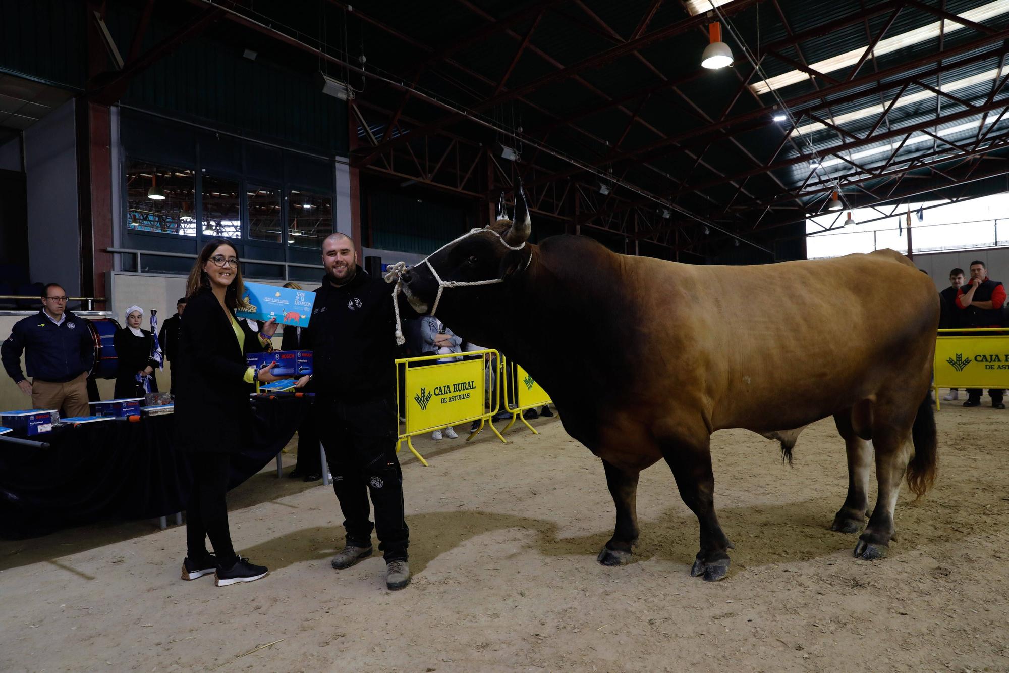 El gran cierre de La Ascensión: así fue la última jornada festiva en la feria del campo en Oviedo