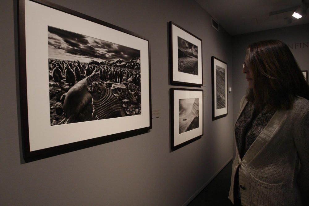 Exposició «Gènesi» de Sebastião Salgado