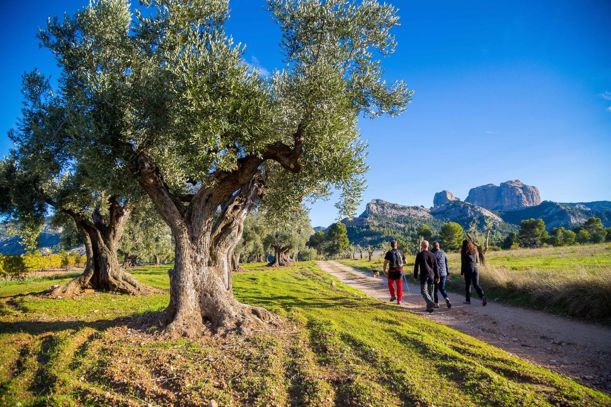 Horta de Sant Joan, la tierra que fascinó a Picasso