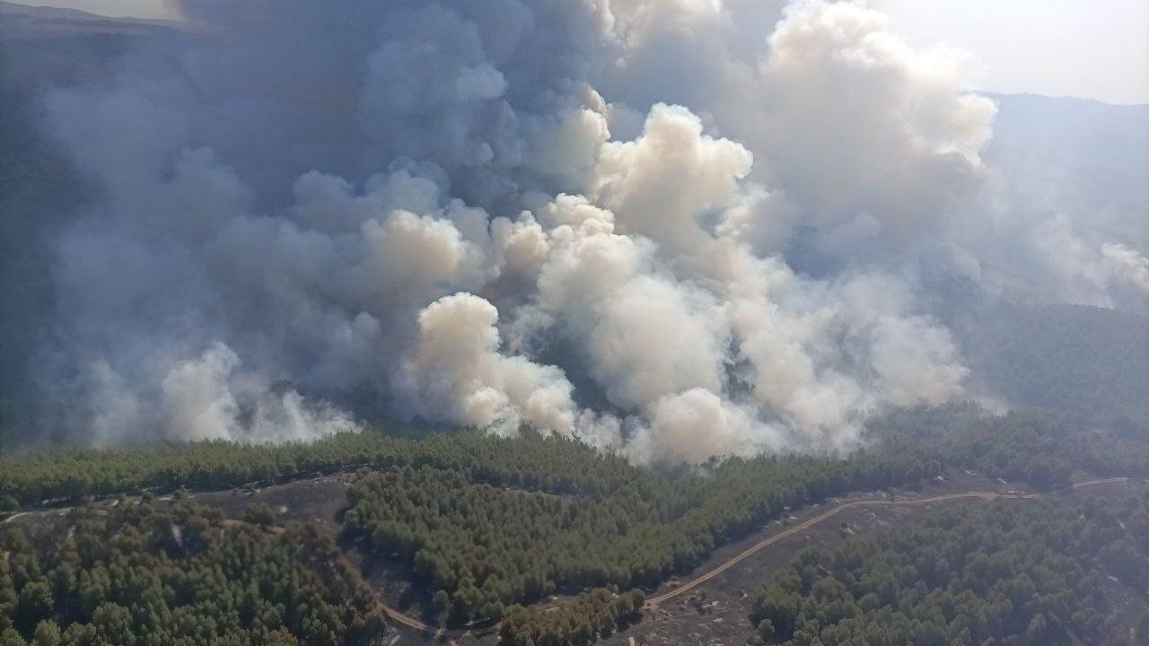 Las imágenes del fuego en Ateca, Moros y Villalengua