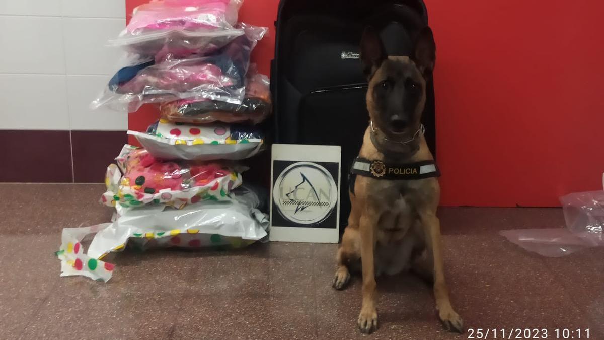 La perra policía Kata con el último alijo localizado en la Estación de Autobuses de Alicante
