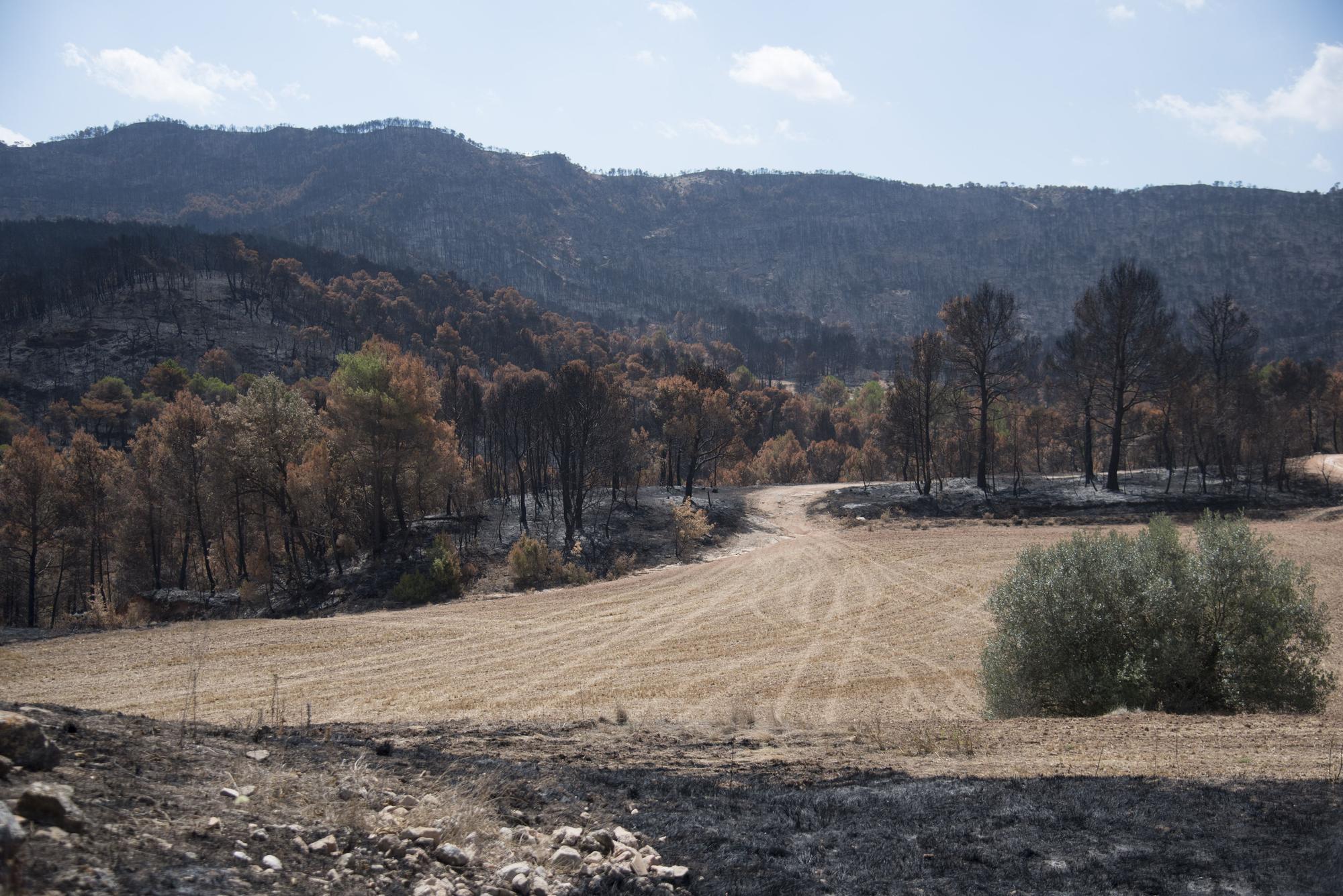 L'Anoia i la Conca d'Òdena es refan del foc