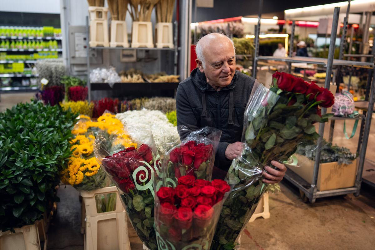 Sant Boi de Llobregat 14/04/2026 Sociedad. Ambiente en el MercaBarna-Flores el día que comunican las novedades de este año respecto a las rosas que se venderan en Sant Jordi. Foto de Zowy Voeten