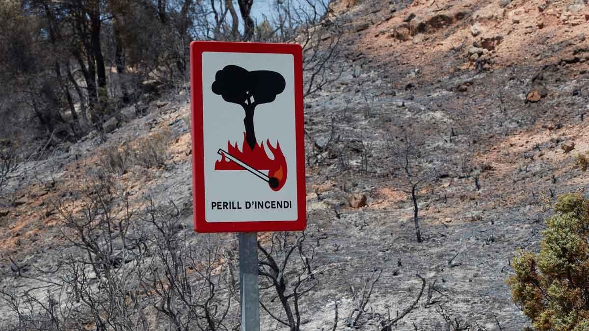 La zona quemada por el incendio de la Ribera d'Ebre (Tarragona)