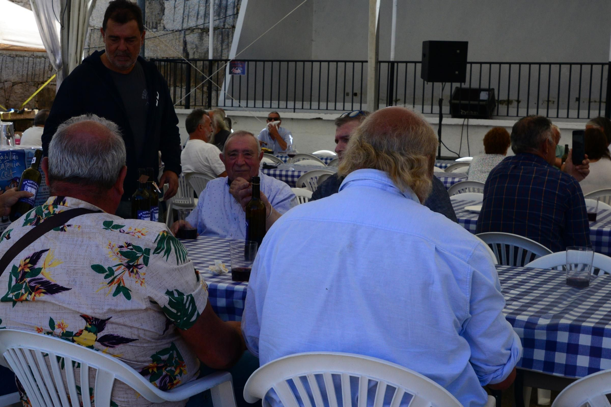 El último día de la XIX Festa do Tinta Femia de Cela