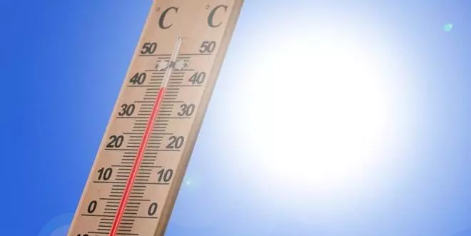 ¿Nuestra salud se está adaptando al calor provocado por el cambio climático?