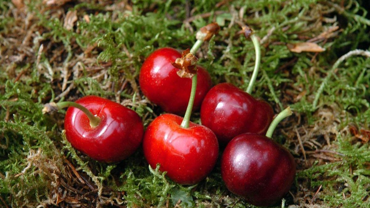 Beneficios cerezas