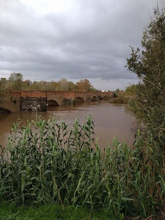 Imatges de diferents indrets de l''Alt Empordà