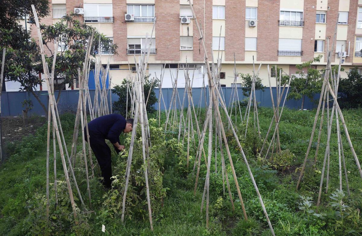La sede de Aldeas Infantiles tiene actividades al aire libre, entre ellas está el trabajo en el huerto