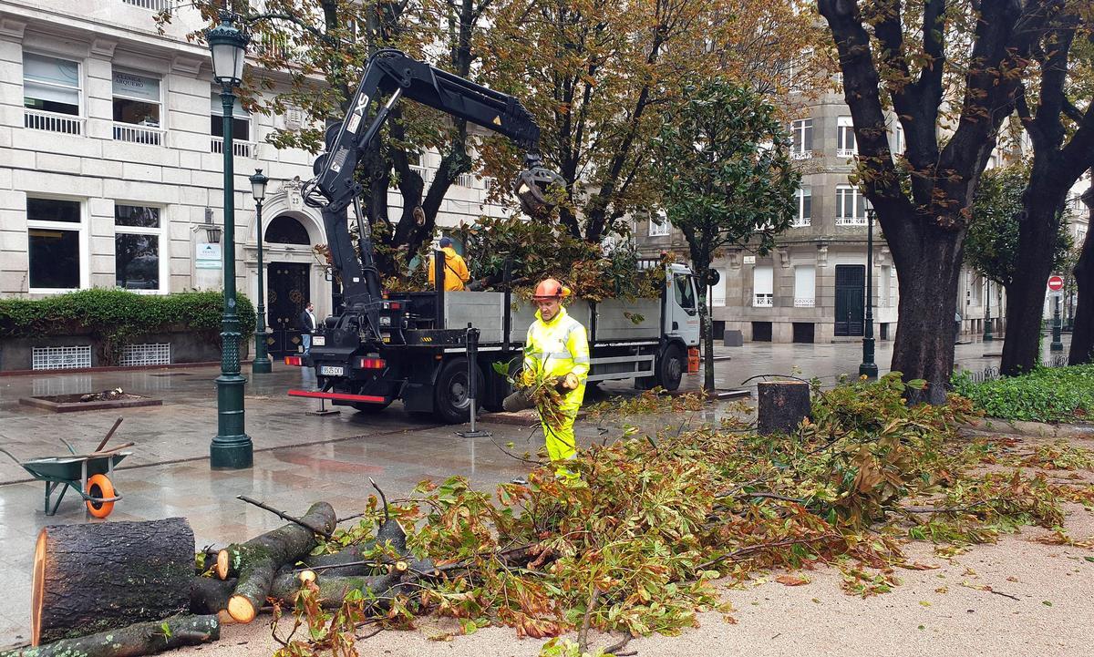 Árboles caídos por el temporal en la Alameda de Vigo