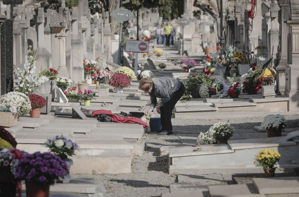 Día de Todos los Santos en el cementerio de Palma