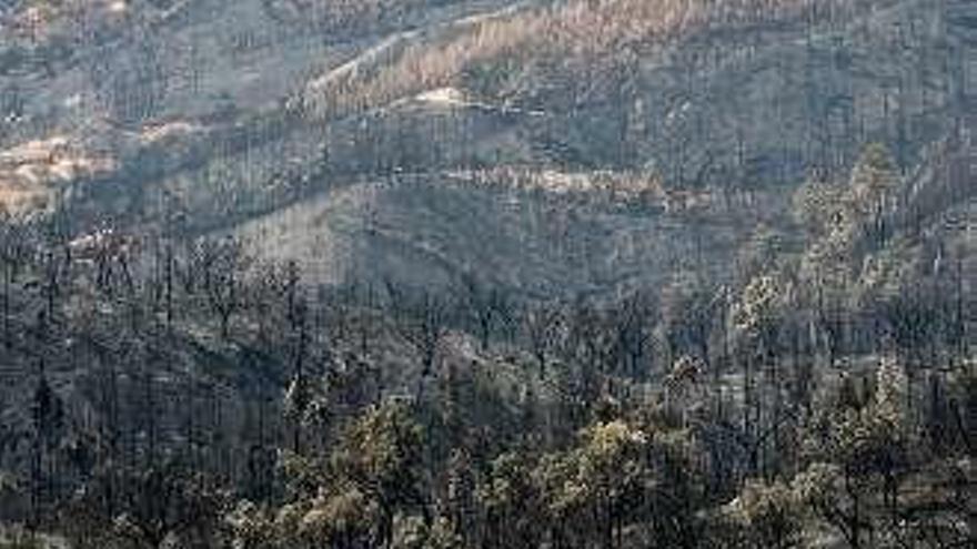 Incendios en Valencia, el Algarve y California