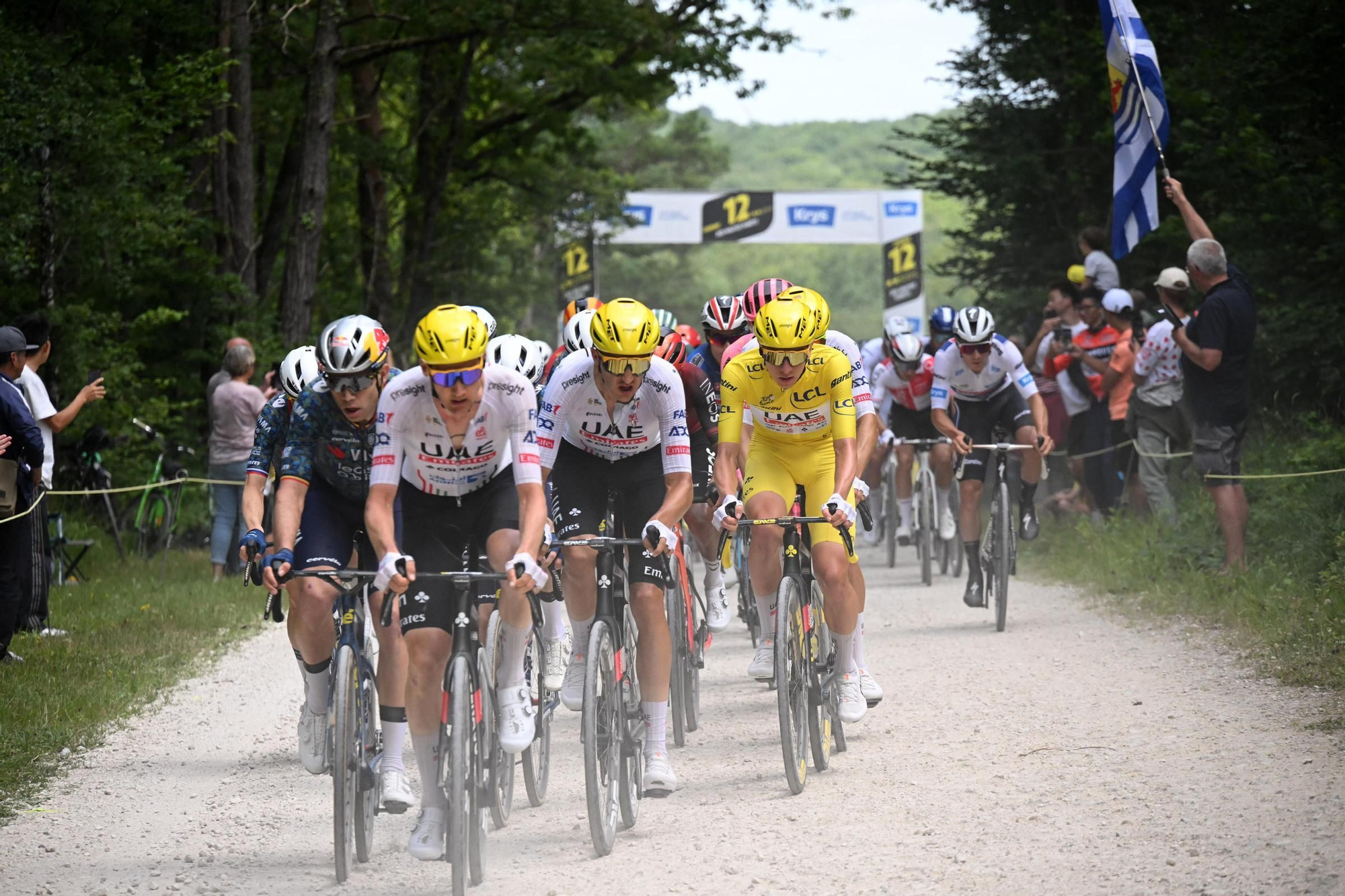 Tour de France 2024 - Stage 9