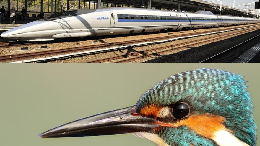 La increíble historia del martín pescador y el tren bala nipón