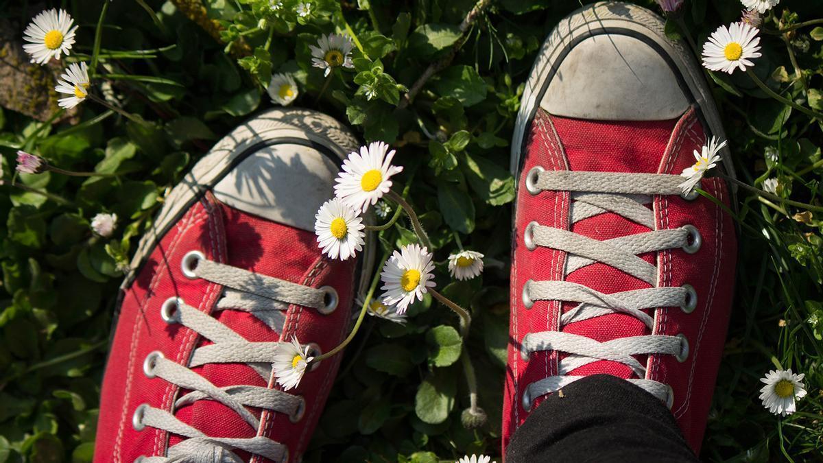 Aterriza en 24 horas en Lidl las zapatillas que se inspiran en una conocida marca por apenas 10 euros