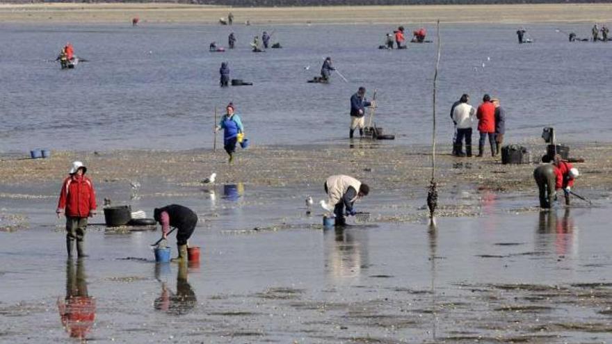 Mariscadoras trabajando en la ría de Pontevedra.  // Noe Parga