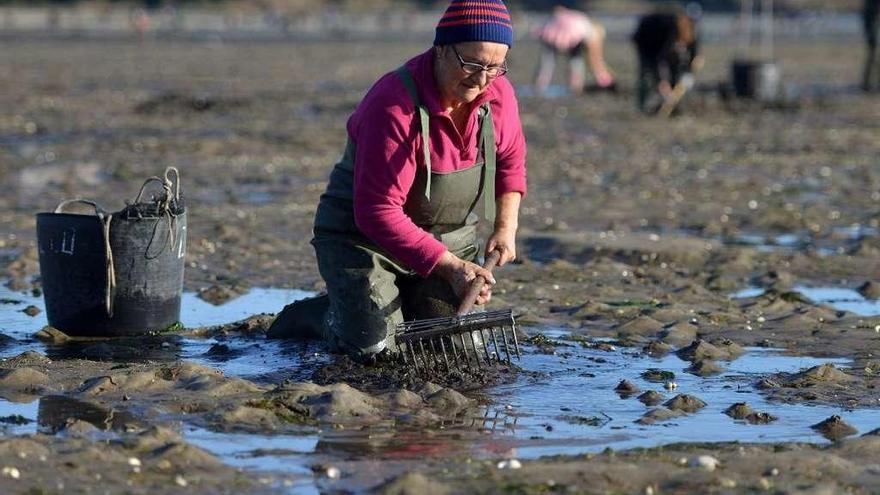 Una mariscadora trabajando en la ría de Pontevedra. // Gustavo Santos