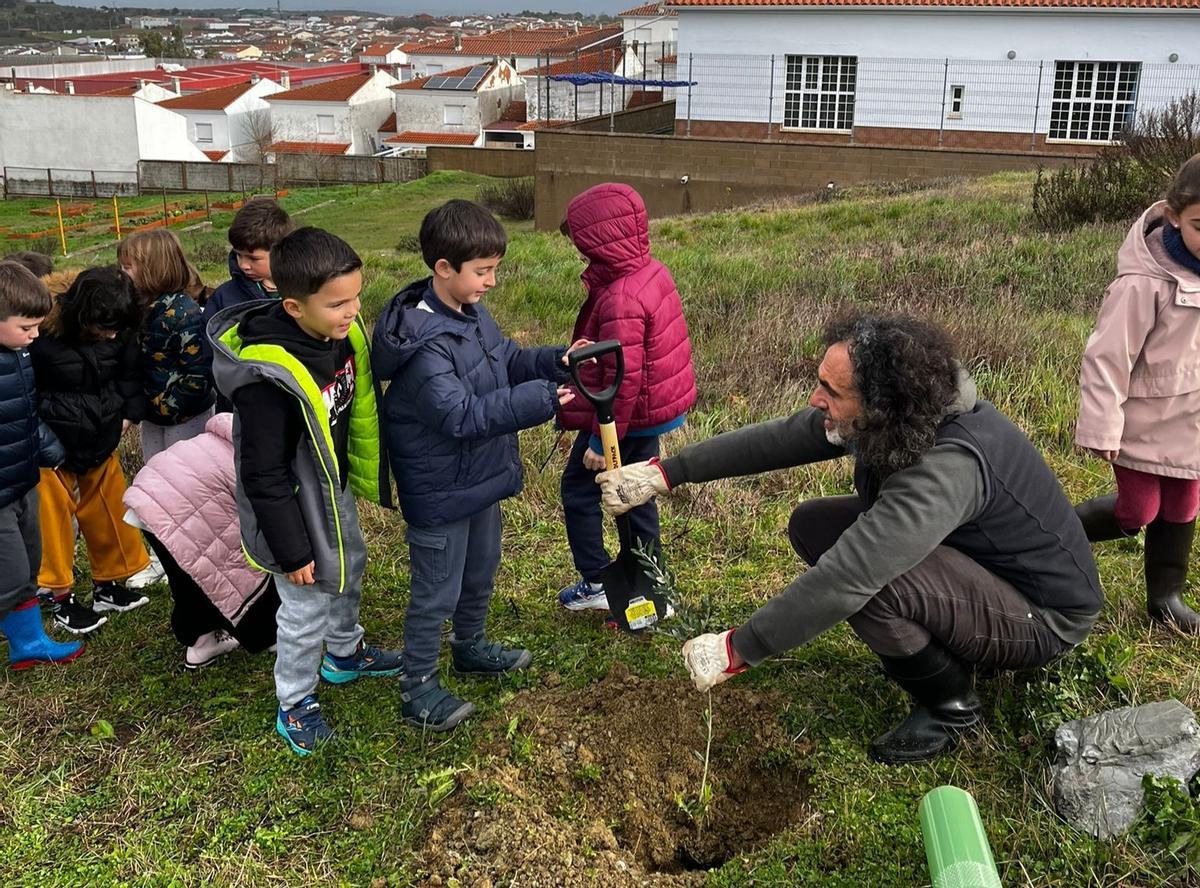 Todo el alumnado del centro participó en la siembra de olivos