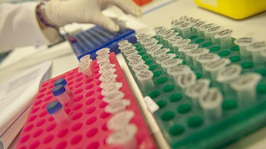 Un trabajador de un laboratorio con unas muestras.