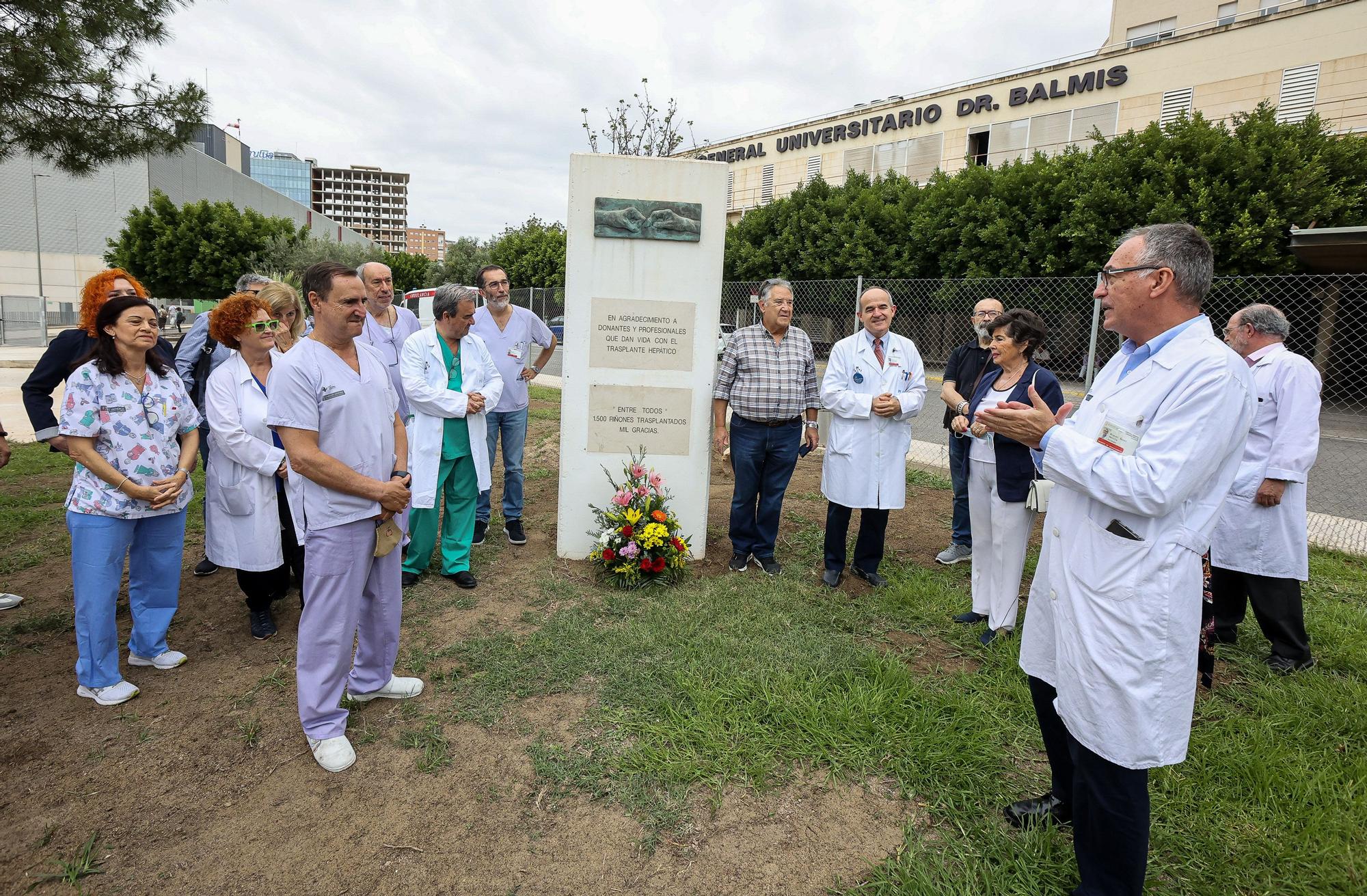 Día del donante de órganos y tejidos en Alicante