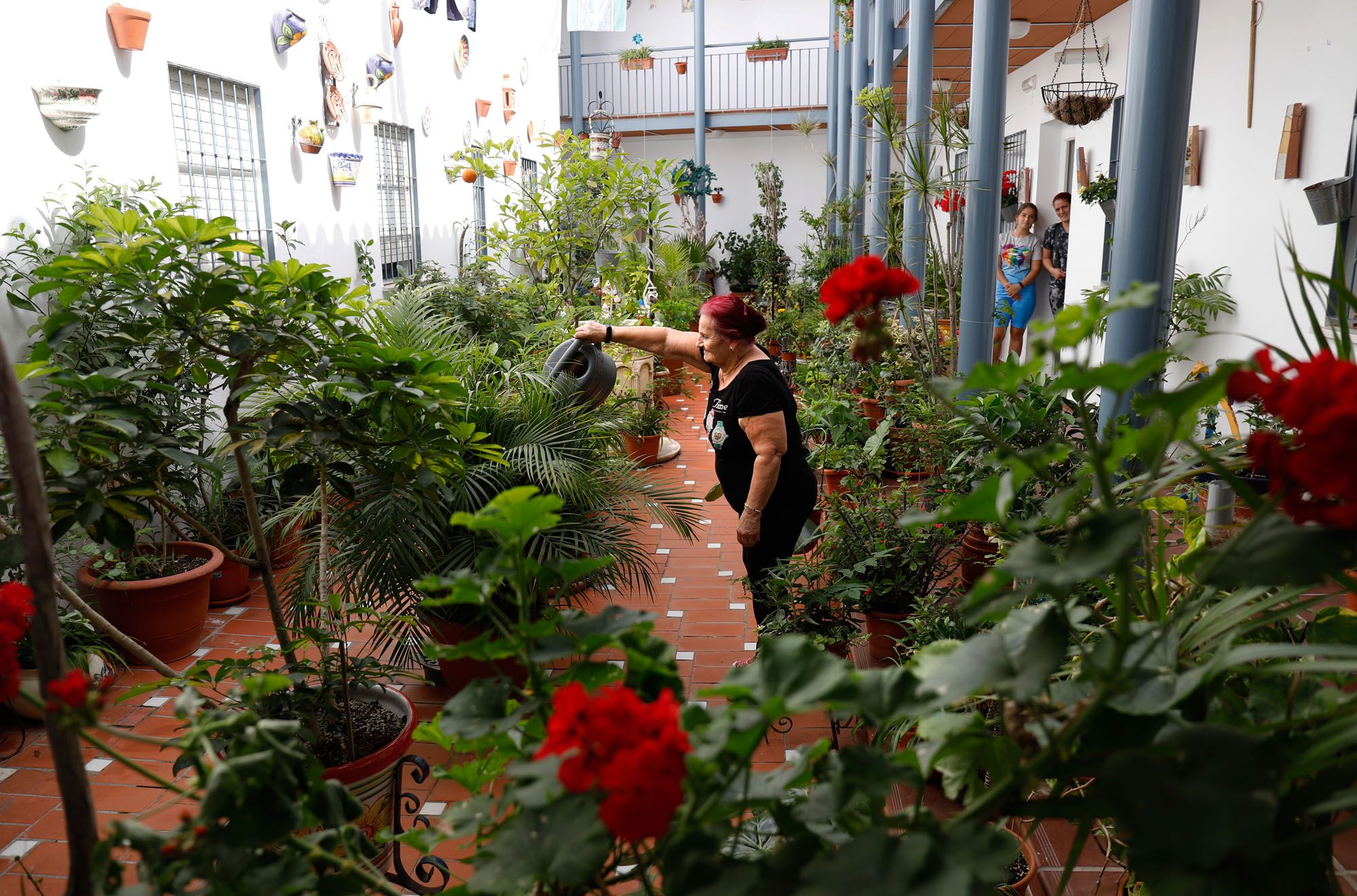 Concurso de balcones del barrio de la Trinidad