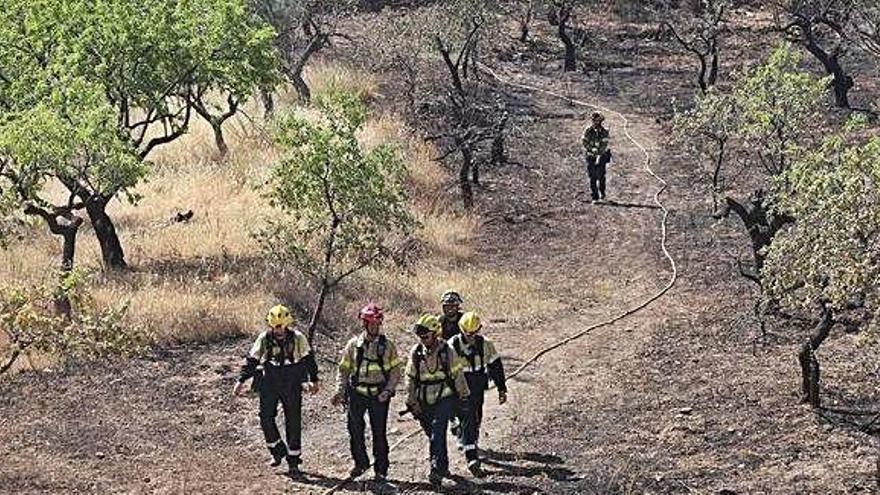 Un grup de bombers camina per la zona afectada per l&#039;incendi a la Ribera d&#039;Ebre