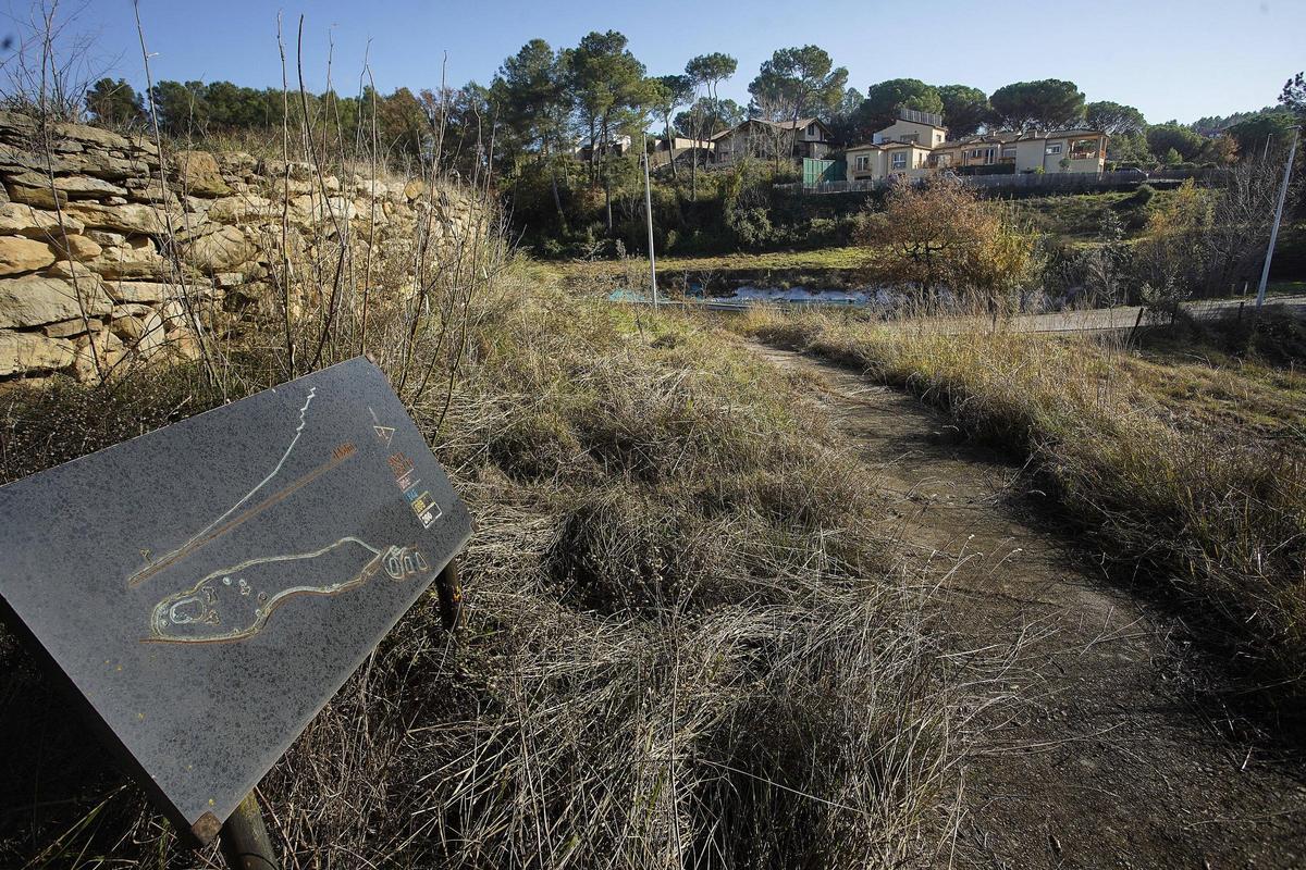 251217DDG_Marc Mart (228696791)