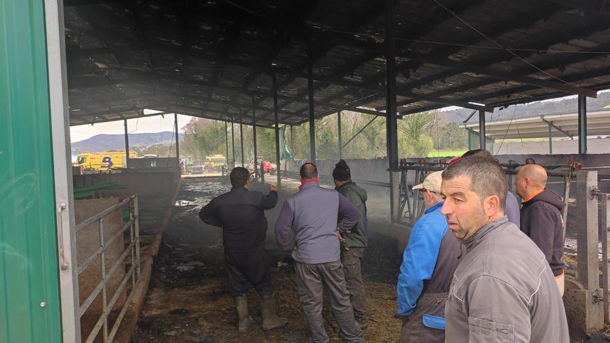 En imágenes: El fuego devora una nave ganadera en Otur (Valdés) y causa daños a una treintena de vacas