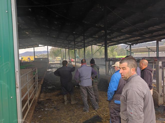 En imágenes: El fuego devora una nave ganadera en Otur (Valdés) y causa daños a un centenar de vacas