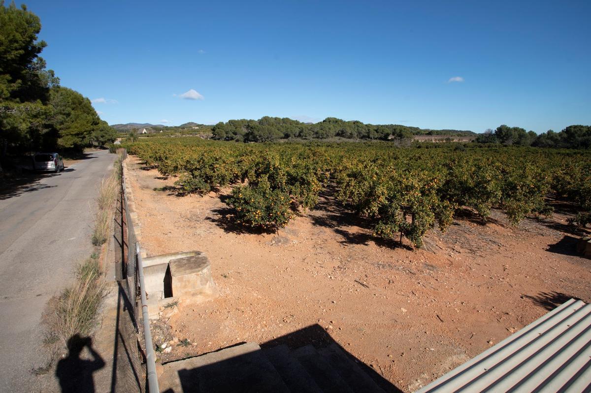 Terenos afectados por la macroplanta fotovoltaica de Renovalia en Sagunt.