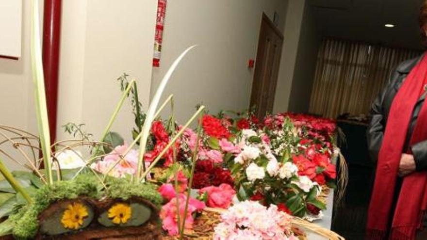 Una de las mesas de exposición, durante la pasada edición de la fiesta valguesa de la camelia. // Iñaki Abella
