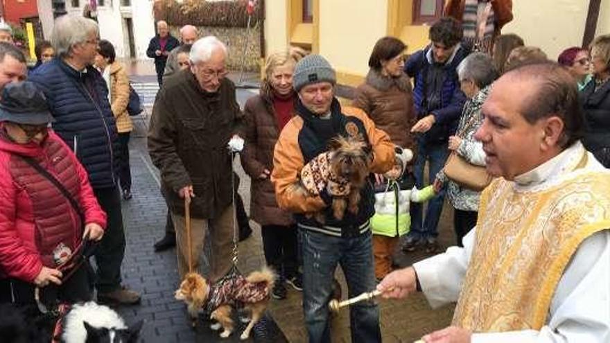 Manuel García bendice a los animales en la capital piloñesa.