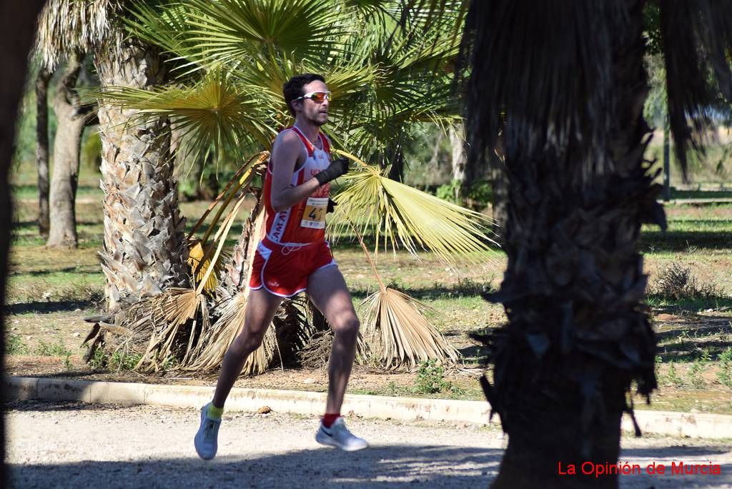 Copa de clubes de cross (I)