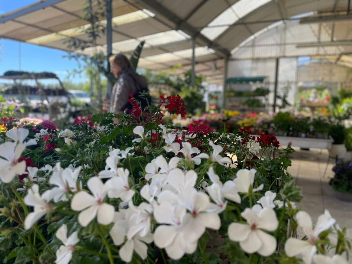 Vivers Garden Sant Pere.