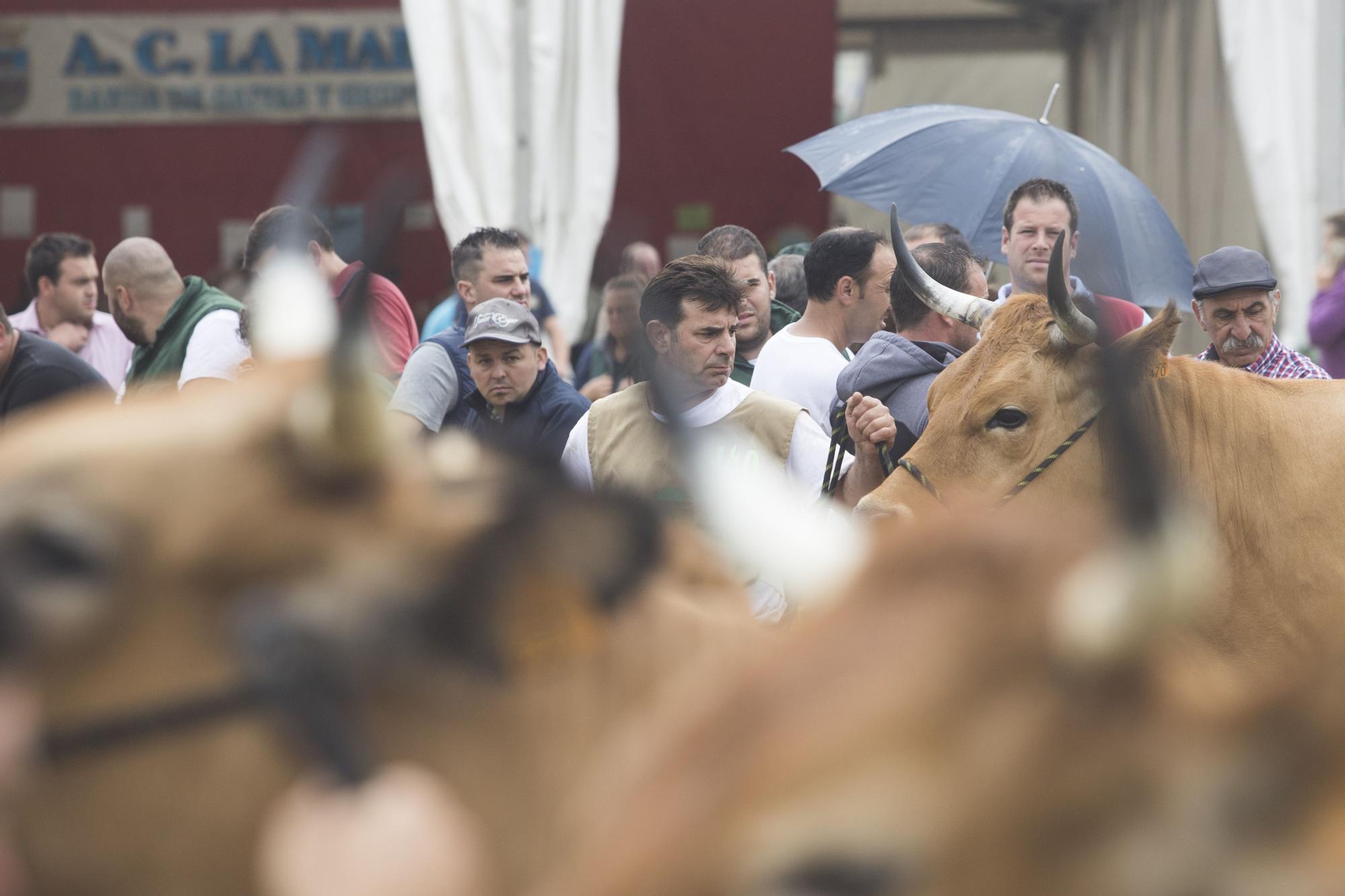 Feria Agroalimentaria de Productos Ecológicos de Llanera y Certamen Concurso Ganadero