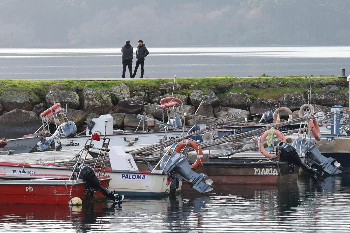 Barcos de marisqueo a flote amarrados en el muelle de Arcade, Soutomaior