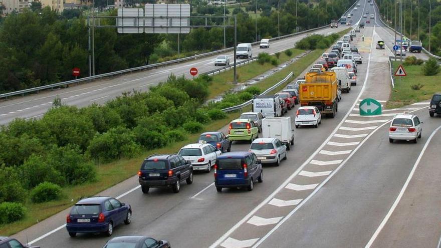 Ziegen verursachen Autobahnunfall: Mallorcas Inselrat muss zahlen