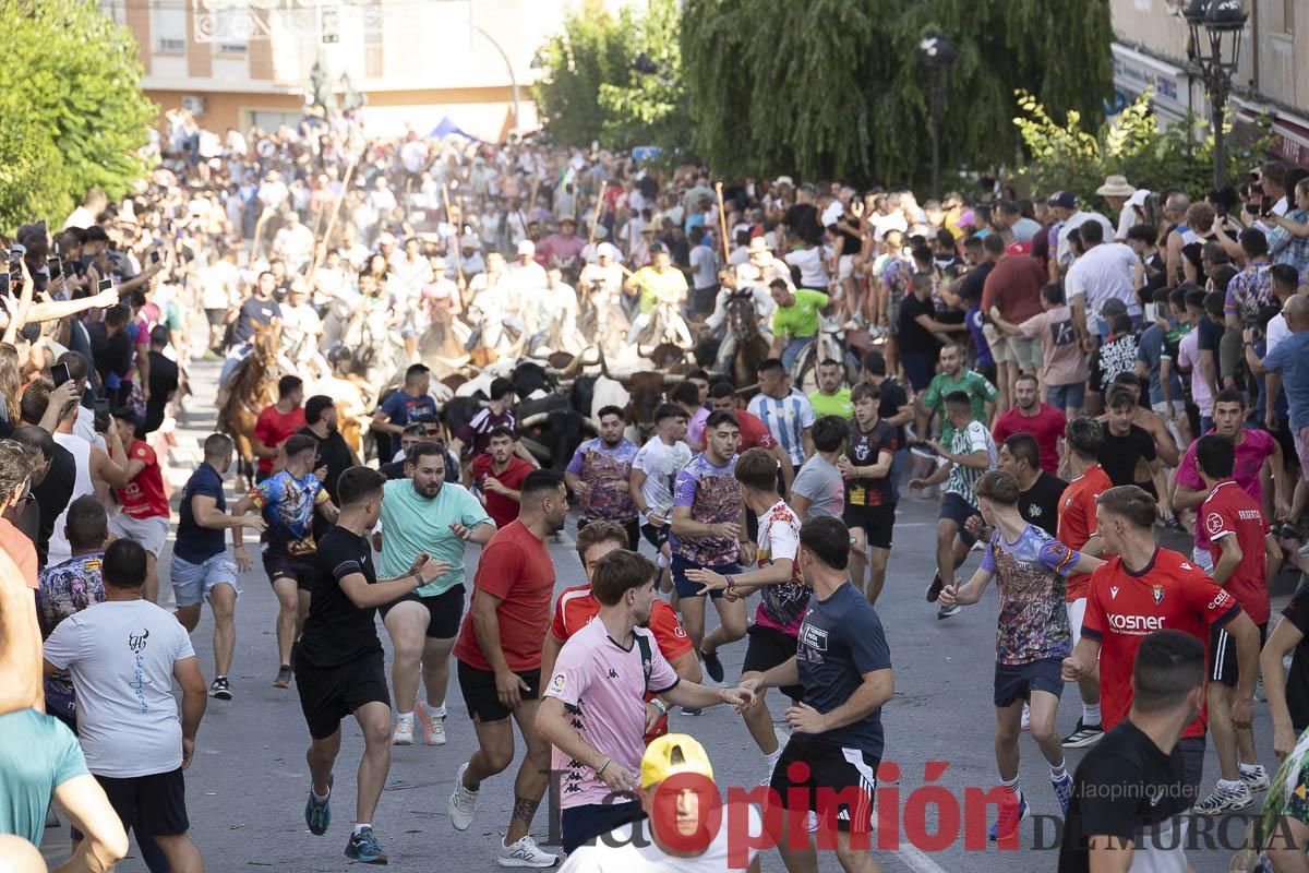 El segundo encierro de las Fiestas de Moratalla se salda con un herido