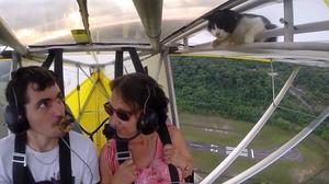 Fotograma del vídeo en què es pot veure l’animal aposentat sobre una de les ales de l’aparell.