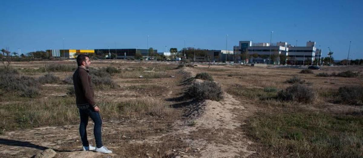 Pimesa asumirá con fondos propios la ampliación de Elche Parque Empresarial