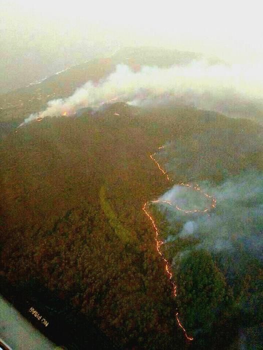 Incendio forestal en la zona de Montaña de Jedey, en La Palma