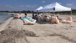 El alcalde, sobre el chiringuito privado de es Carbó: “Los espacios naturales de ses Salines no están en venta”